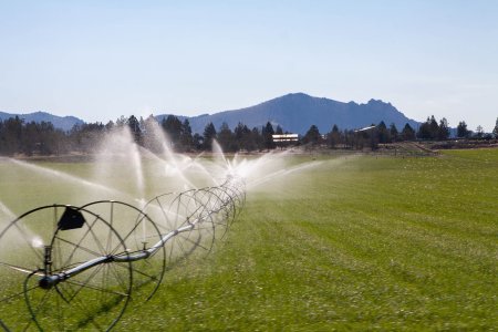 Er is veel water nodig om in dit droge gebied groen gras te houden